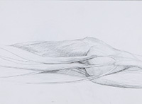 anatomical study Matthew Tome