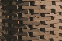 Blossom,  image Matthew Tome 2017